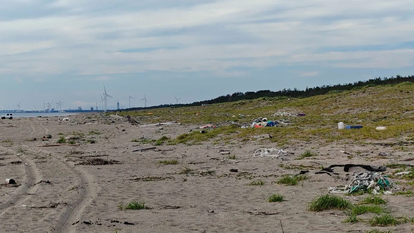 砂浜に点々と打ち上がった漁網やプラスチックごみ